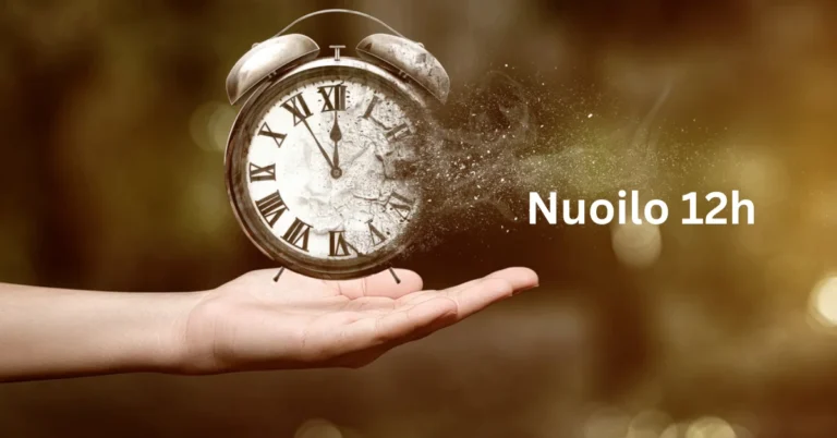 Nuoilo 12h: The Ultimate Tool for Enhanced Productivity